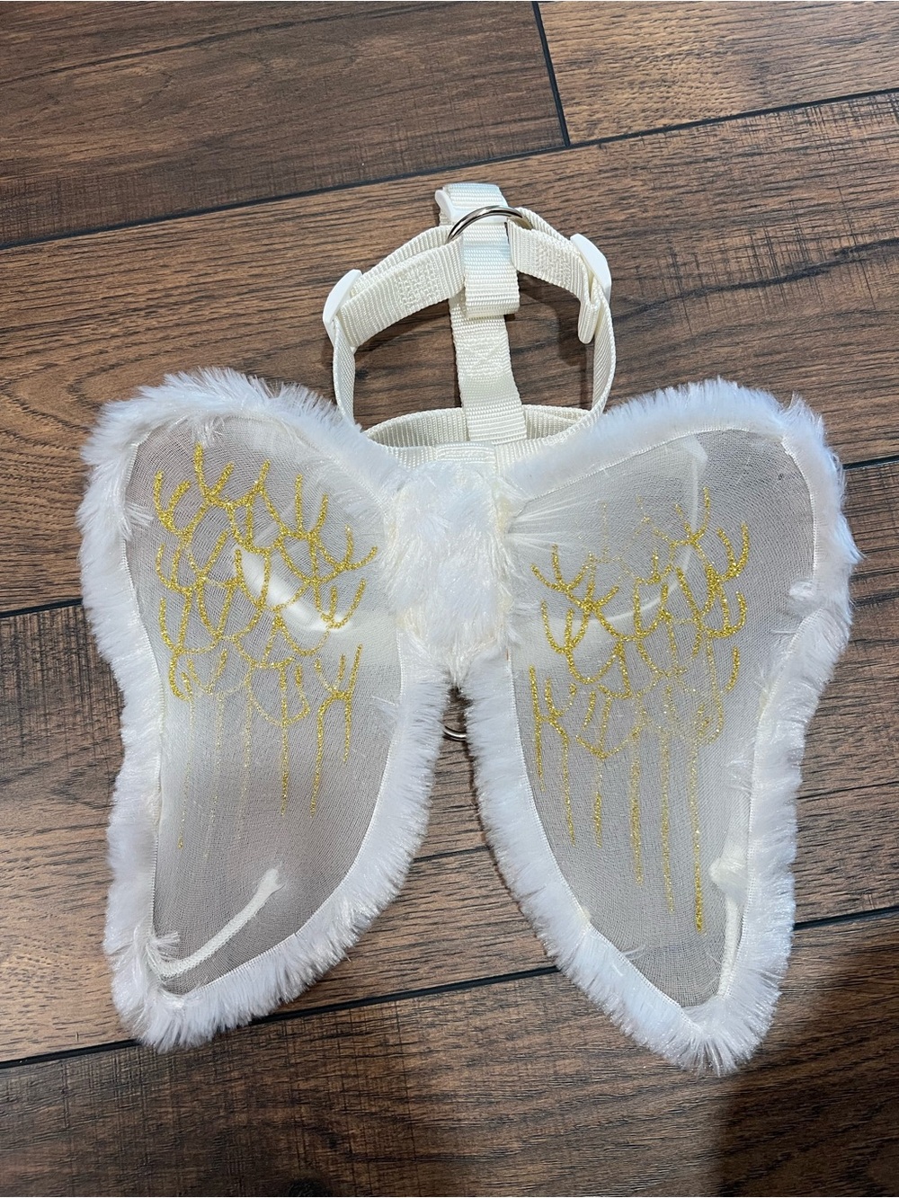 Source Unknown White Pet Angel Wings with Gold Accents
